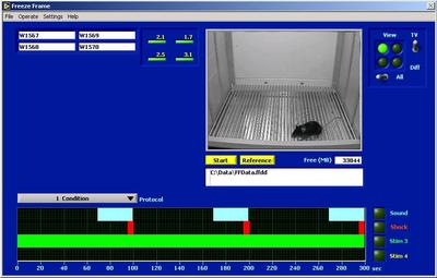 Freezeframe条件恐惧反射实验数据采集和分析系统
